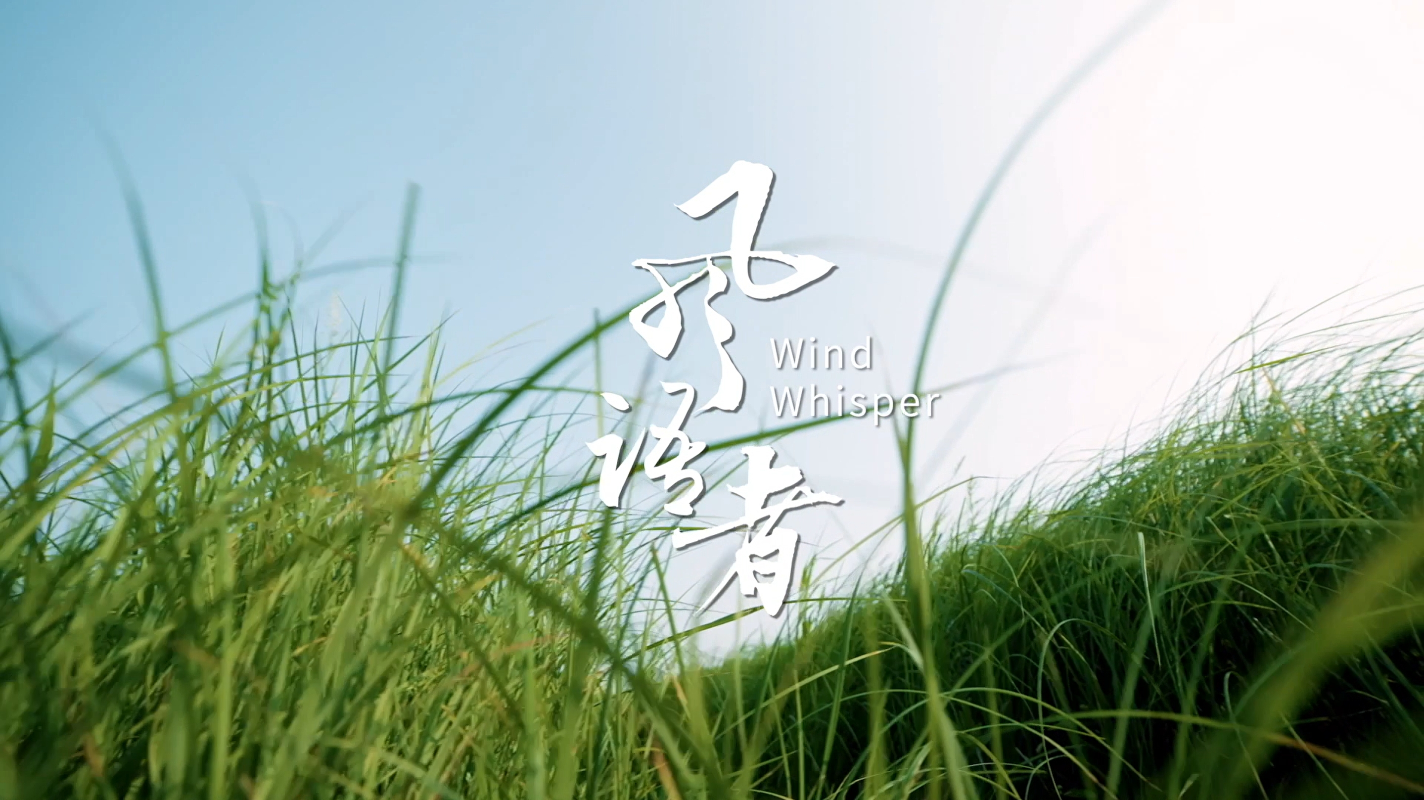 風(fēng)語(yǔ)者