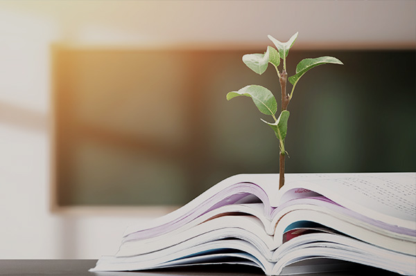 中國文化產業發展集團有限公司